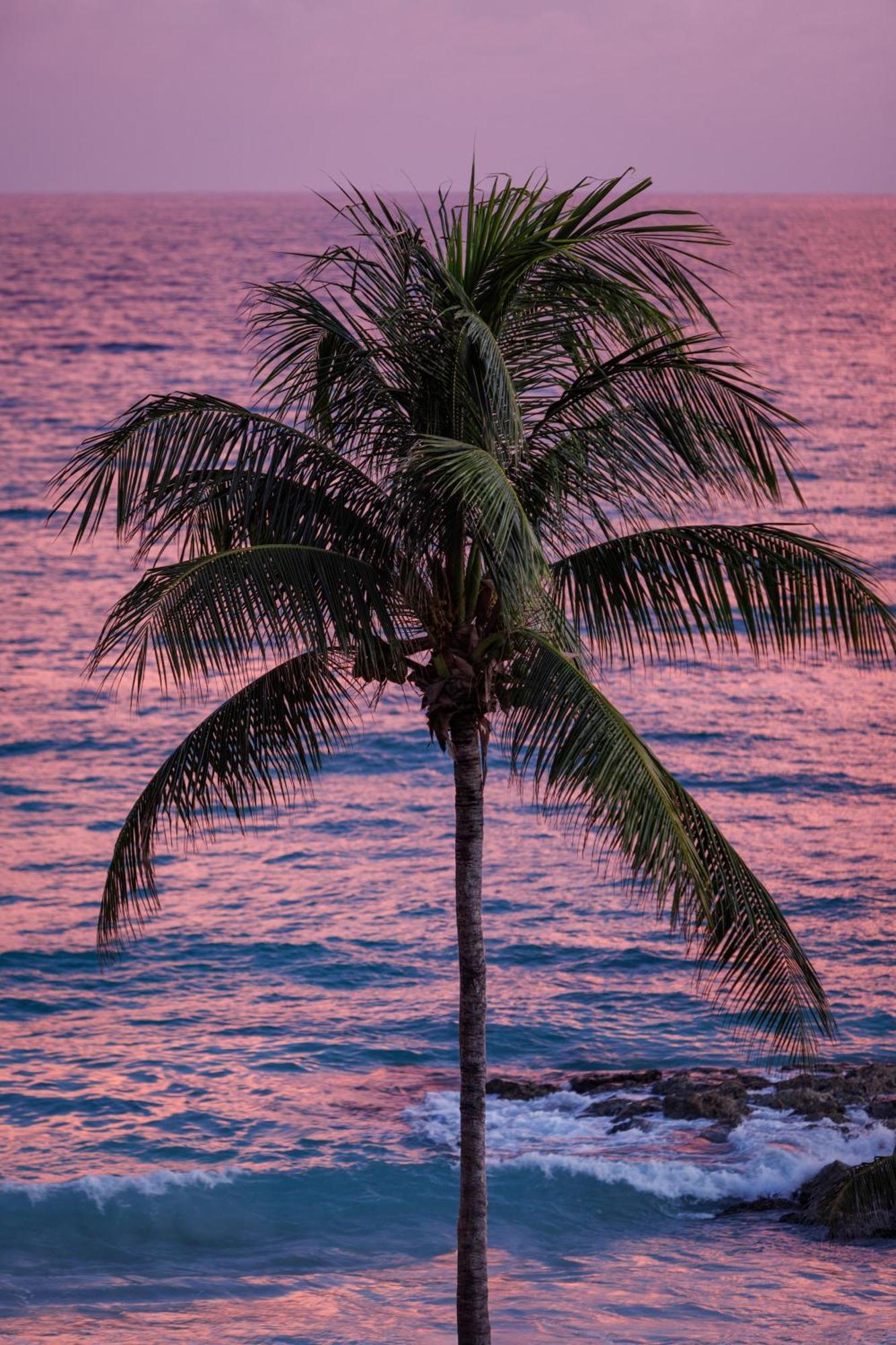 Sandals Barbados All Inclusive - Couples Only (Adults Only) Christ Church Eksteriør bilde